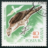 N°2280-1967-ROUMANIE-OISEAUX-FAUCON SACRE-40B