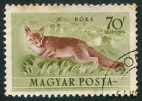 N°0141-1953-HONGRIE-FAUNE-RENARD-70FI