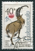 N°1307-1963-TCHECOS-FAUNE-BOUQUETIN-40H