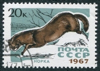 N°3271-1967-RUSSIE-FAUNE-VISON-20K