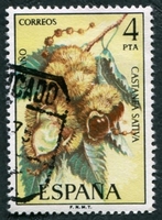 N°1901-1975-ESPAGNE-CHATAIGNIER-4P