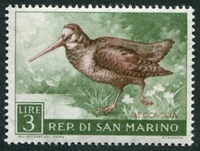 N°0481-1960-SAINT MARIN-OISEAU-BECASSE-3L