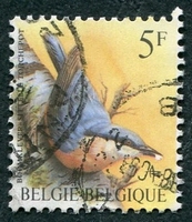 N°2293-1988-BELGIQUE-OISEAUX-SITELLE TORCHEPOT-5F