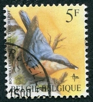 N°2293-1988-BELGIQUE-OISEAUX-SITELLE TORCHEPOT-5F