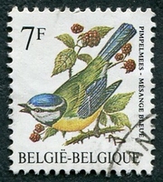 N°2261-1987-BELGIQUE-OISEAUX-MESANGE BLEUE-7F