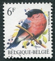 N°2294-1988-BELGIQUE-OISEAUX-BOUVREUIL-6F