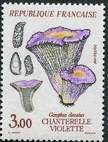 N°2489-1987-FRANCE-CHAMPIGNON-CHENTERELLE VIOLETTE