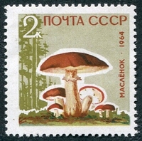 N°2880-1964-RUSSIE-CHAMPIGNON-IXOCOMUS LEUTEUS-2K