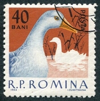 N°1910-1963-ROUMANIE-ANIMAUX BASSE-COUR-CANARD-40B