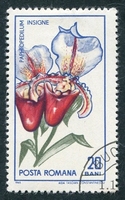 N°2158-1965-ROUMANIE-FLEURS-PAPHIOPEDILIUM INSIGNE-20B