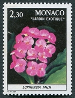 N°1308-1982-MONACO-PLANTE EXOTIQUE-EUPHORBIA-2F30