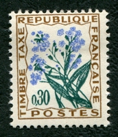 N°099-1964-FRANCE-FLEUR-MYOSOTIS