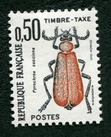 N°105-1982-FRANCE-INSECTES-PYROCHROA COCCINEA