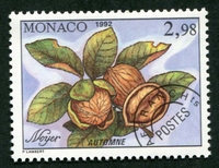 N°112-1992-MONACO-NOYER EN AUTOMNE