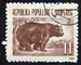 N°0551-1961-ALBANIE-ANIMAUX-OURS-11L 
