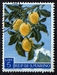 N°0453-1958-SAINT MARIN-PROD AGRICOLE-PRUNES-5L 