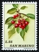 N°0843-1973-SAINT MARIN-FRUITS-CERISE-25L 