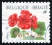 N°2875-1999-BELGIQUE-FLEUR-GERANIUM 