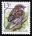 N°PRE837P-1994-BELGIQUE-OISEAU-MOINEAU DOMESTIQUE-13F 