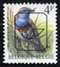 N°PRE823P-1990-BELGIQUE-OISEAU-GORGE BLEUE-4F 