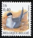 N°3009-2001-BELGIQUE-OISEAU-STERNE PIERREGARIN-16F 