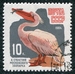 N°2825-1964-RUSSIE-OISEAU-PELICAN-10K 