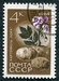 N°2838-1964-RUSSIE-LEGUME-POMMES DE TERRE-4K 