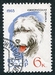 N°2923-1965-RUSSIE-CHIENS-CHIEN DE BERGER SUSSE-6K 
