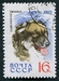 N°2926-1965-RUSSIE-CHIENS-CHIEN DE BERGER CAUCASIEN-16K 