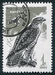 N°3040-1965-RUSSIE-OISEAUX DE PROIE-FAUCON-1K 