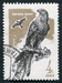 N°3043-1965-RUSSIE-OISEAUX DE PROIE-AIGLE BRUN-4K 
