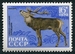N°3647-1970-RUSSIE-FAUNE-CERF-16K 