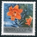 N°3488-1969-RUSSIE-FLEUR-LIS JAUNE-4K 
