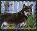 N°1044-1989-FINLANDE-CHIENS-BERGER DE LAPONIE-1M90 