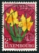 N°0491-1955-LUXEMBOURG-MONDORF-FLEURS-NARCISSE-2F 