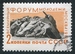 N°2437-1961-RUSSIE-JEUNES POUSSANT UN CHAR DANS LA MER-2K 