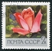 N°3487-1969-RUSSIE-FLEURS-ROSE-2K 