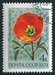 N°4104-1974-RUSSIE-FLEURS-ROEMERIA REFRACTA-4K 