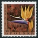 N°1688-1968-POLOGNE-FLEURS-STRELITZIA REGINAE-30GR 