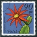 N°2599-1981-POLOGNE-FLORE-FLEUR DE CACTUS-90GR 