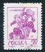 N°2136-1974-POLOGNE-FLEURS-IRIS-50GR-LILAS ROSE 