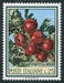 N°0989-1967-ITALIE-FRUITS-POMMES-25L 