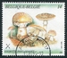 N°2419-1991-BELGIQUE-CHAMPIGNONS-GOLMOTTE-14F 