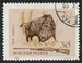 N°1691-1964-HONGRIE-FAUNE-SANGLIER-30FI 