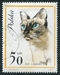 N°1334-1964-POLOGNE-CHAT SIAMOIS-50GR 