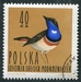 N°1348-1964-POLOGNE-OISEAUX-GORGE BLEUE A MIROIR-40GR 