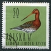 N°1349-1964-POLOGNE-OISEAUX-BARGE A QUEUE NOIRE-50GR 