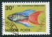N°1496-1962-HONGRIE-POISSON-MACROPODUS OPERCULARIS-30FI 