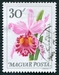 N°1767-1965-HONGRIE-FLEURS-CATTLEYA DE VARSOVIE-30FI 