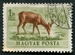 N°0143-1953-HONGRIE-FAUNE-CHEVREUIL-1FO 